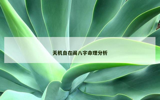 天机自在阁八字命理分析