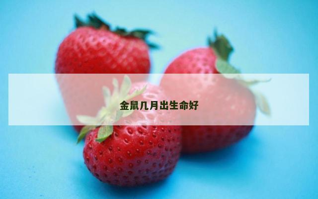 金鼠几月出生命好