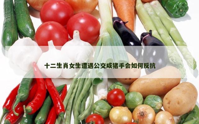 十二生肖女生遭遇公交咸猪手会如何反抗