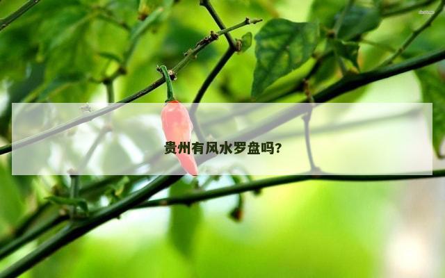 贵州有风水罗盘吗?