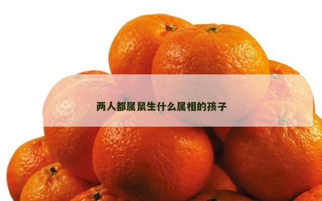 两人都属鼠生什么属相的孩子