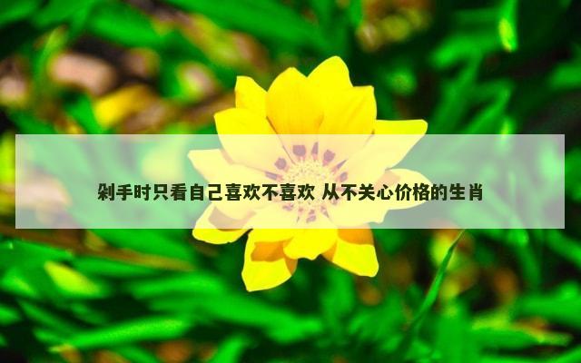 剁手时只看自己喜欢不喜欢 从不关心价格的生肖