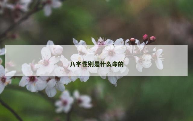 八字性别是什么命的