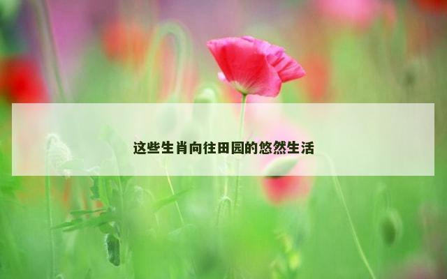 这些生肖向往田园的悠然生活