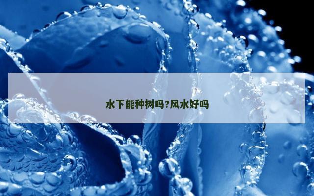 水下能种树吗?风水好吗
