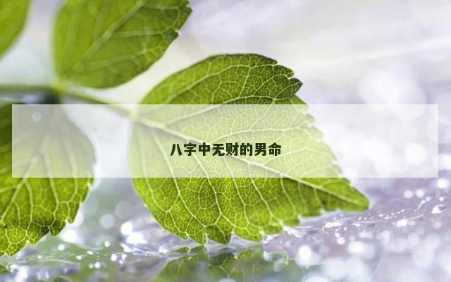 八字中无财的男命