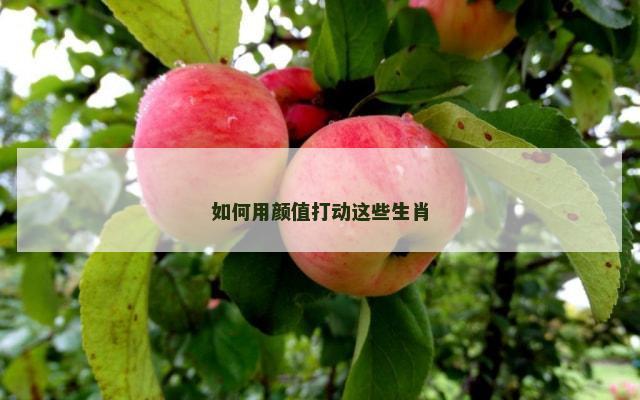 如何用颜值打动这些生肖