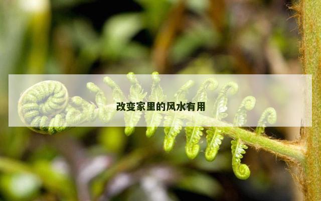 改变家里的风水有用