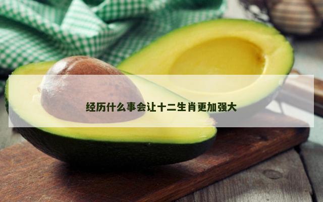 经历什么事会让十二生肖更加强大