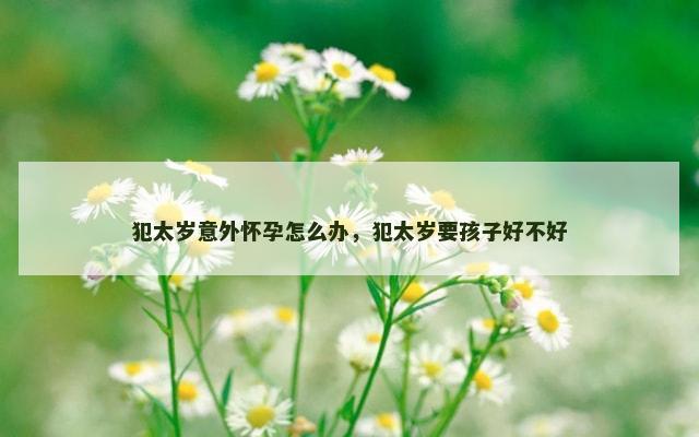 犯太岁意外怀孕怎么办，犯太岁要孩子好不好