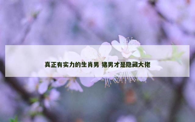真正有实力的生肖男 猪男才是隐藏大佬