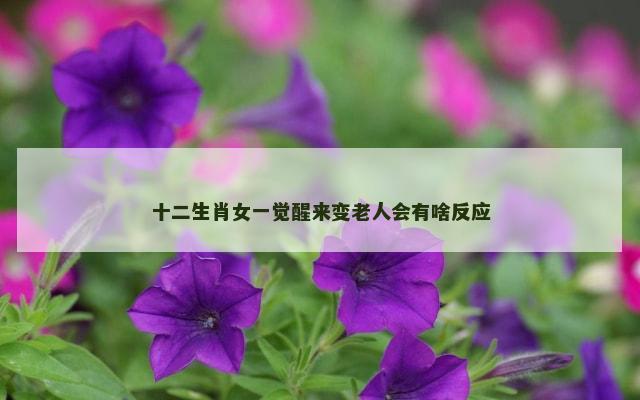 十二生肖女一觉醒来变老人会有啥反应