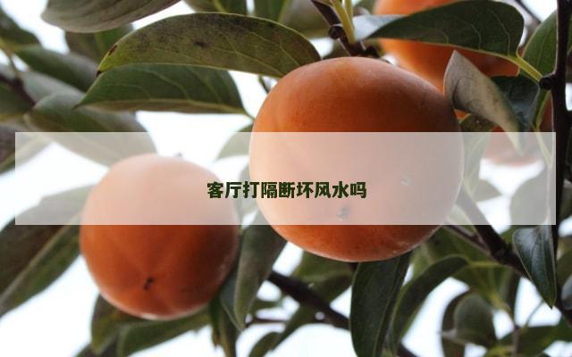 客厅打隔断坏风水吗