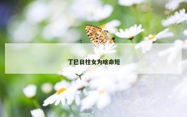 丁巳日柱女为啥命短