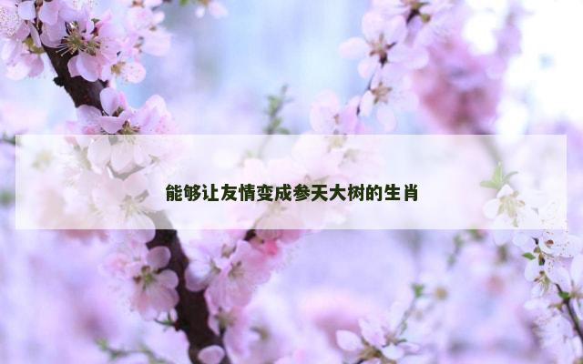 能够让友情变成参天大树的生肖