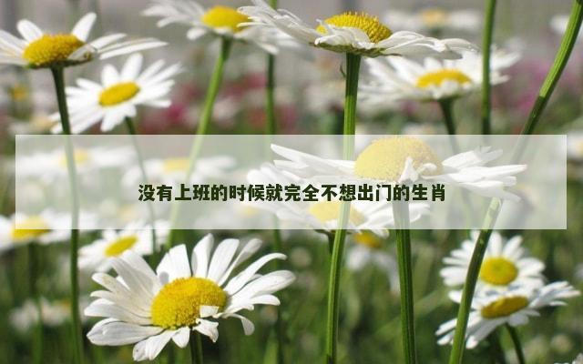 没有上班的时候就完全不想出门的生肖