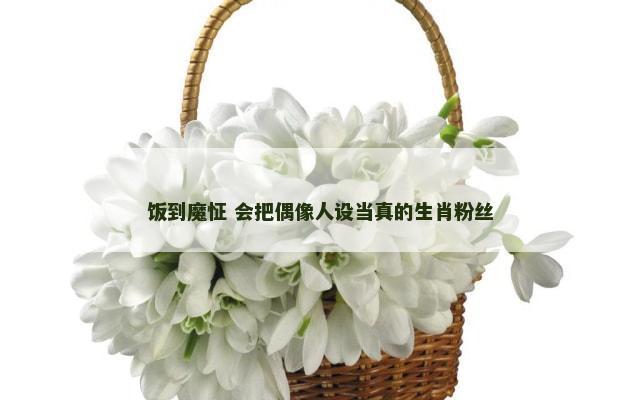饭到魔怔 会把偶像人设当真的生肖粉丝