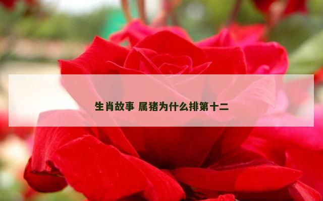 生肖故事 属猪为什么排第十二