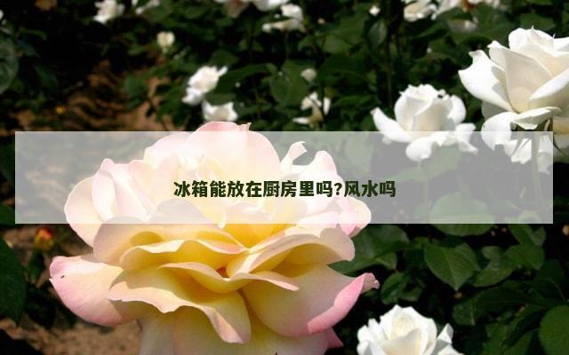 冰箱能放在厨房里吗?风水吗