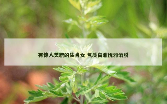 有惊人美貌的生肖女 气质高雅优雅洒脱