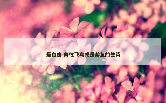 爱自由 向往飞鸟或是游鱼的生肖