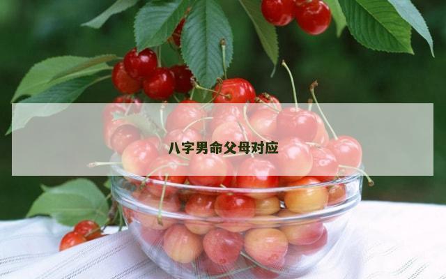 八字男命父母对应