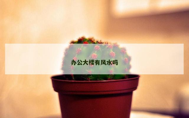 办公大楼有风水吗