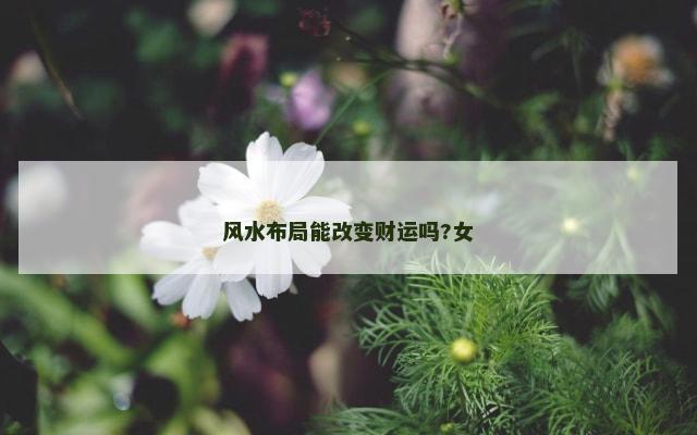 风水布局能改变财运吗?女