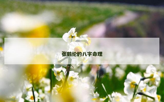 张鹤伦的八字命理