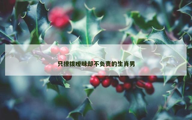 只撩拨暧昧却不负责的生肖男
