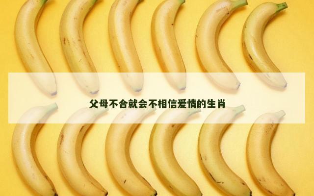 父母不合就会不相信爱情的生肖