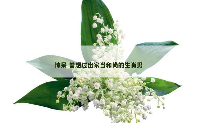 惊呆 曾想过出家当和尚的生肖男