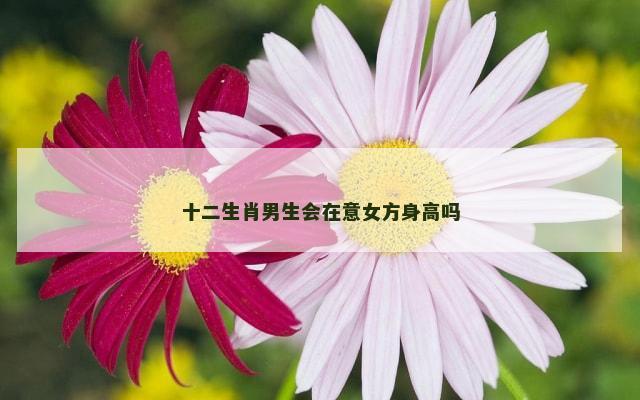 十二生肖男生会在意女方身高吗
