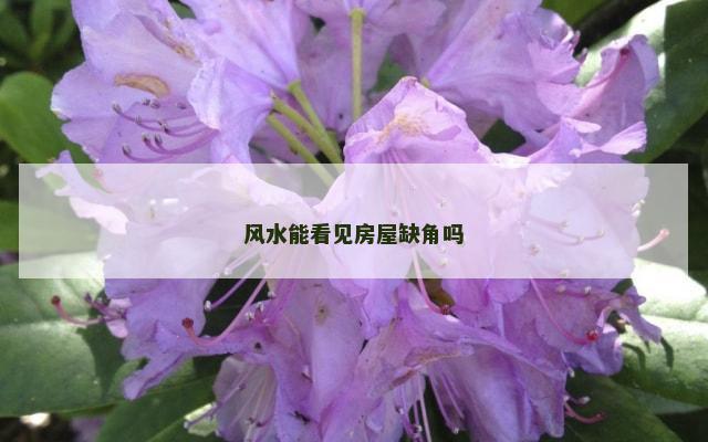 风水能看见房屋缺角吗