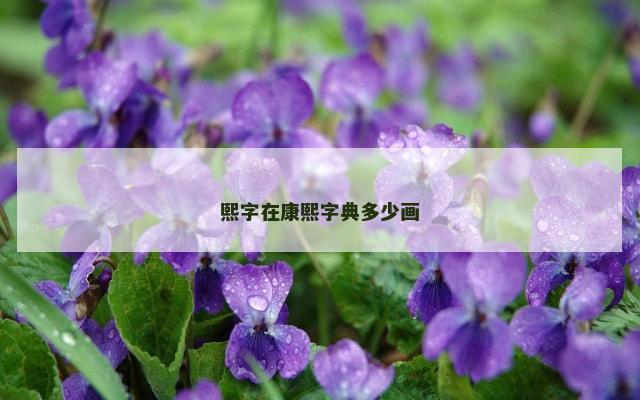 熙字在康熙字典多少画