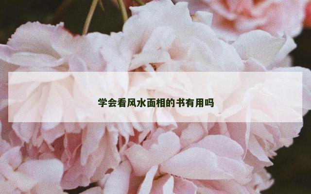 学会看风水面相的书有用吗