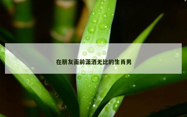 在朋友面前潇洒无比的生肖男