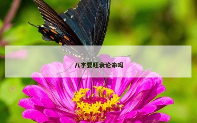 八字要旺衰论命吗
