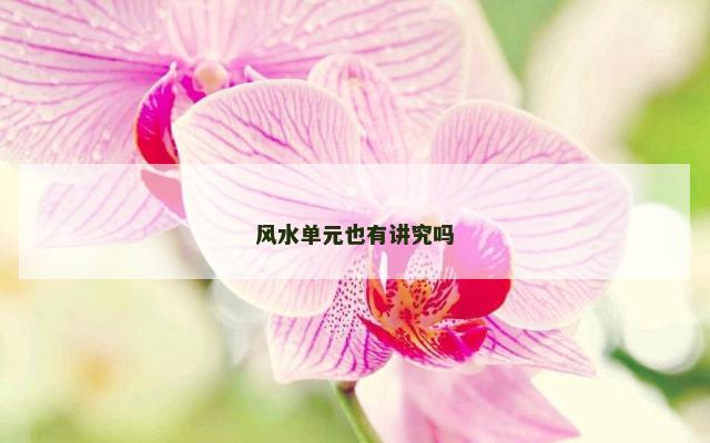 风水单元也有讲究吗