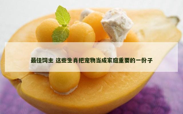 最佳饲主 这些生肖把宠物当成家庭重要的一份子