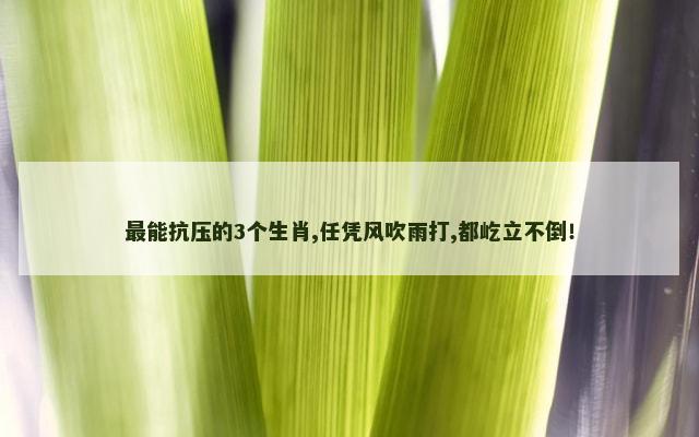 最能抗压的3个生肖,任凭风吹雨打,都屹立不倒！