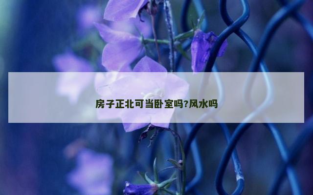 房子正北可当卧室吗?风水吗