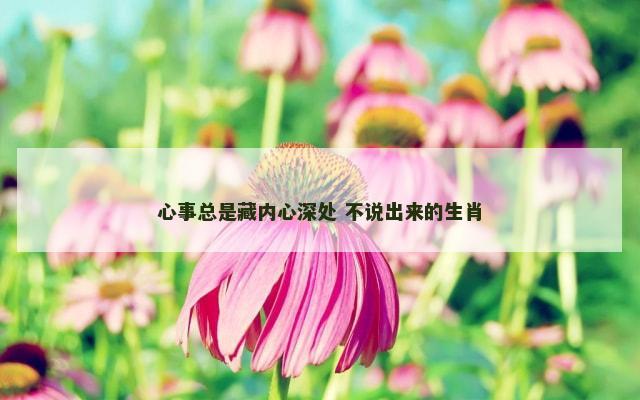 心事总是藏内心深处 不说出来的生肖