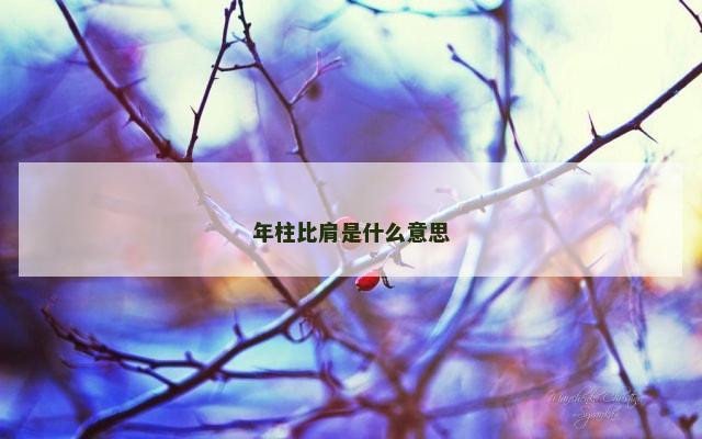 年柱比肩是什么意思