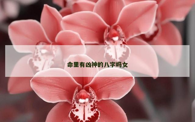 命里有凶神的八字吗女