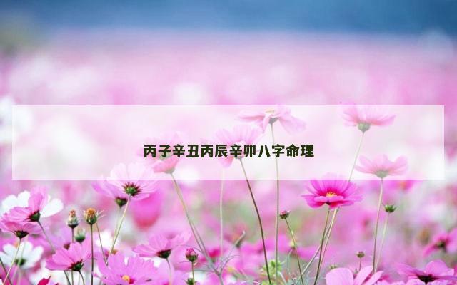 丙子辛丑丙辰辛卯八字命理