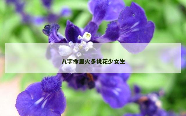 八字命里火多桃花少女生