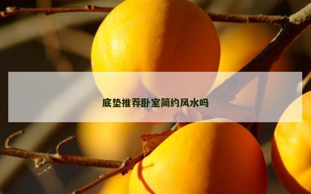 底垫推荐卧室简约风水吗