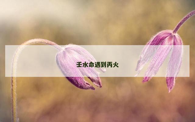 壬水命遇到丙火