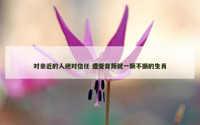 对亲近的人绝对信任 遭受背叛就一蹶不振的生肖